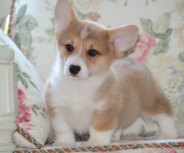 QQ截图20170706125132.jpg