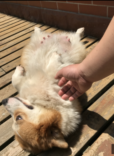 QQ截图20170608205637.png