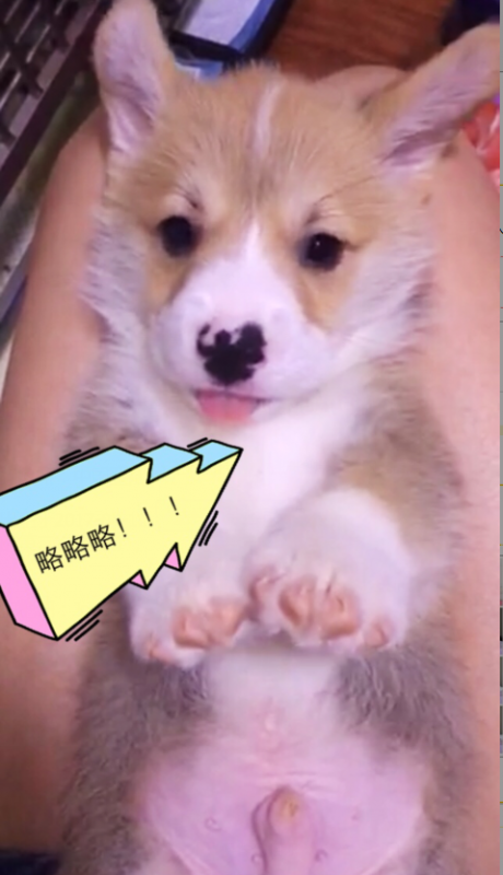 QQ图片20170707172259.png