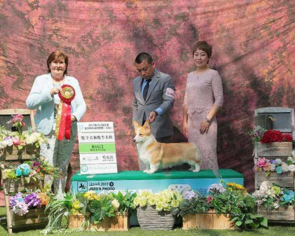 QQ图片20170707173833.jpg