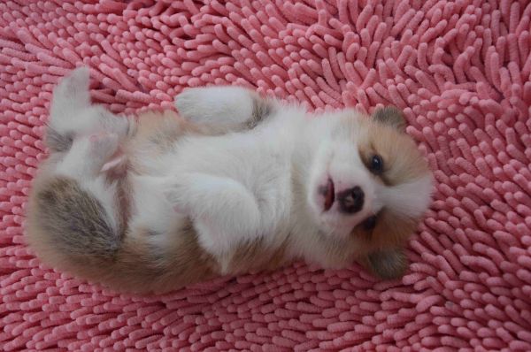 DSC_3800.jpg