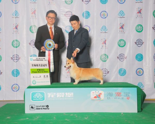 微信图片_20170711172728.jpg