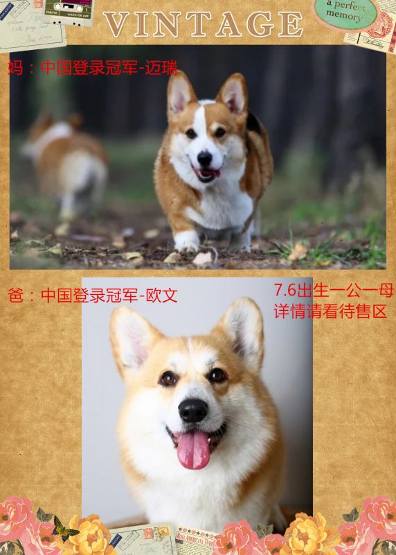 psb_副本.jpg