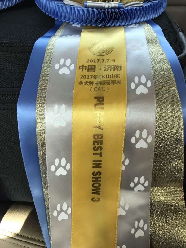 微信图片_20170711173815.jpg