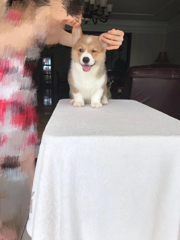 image.jpeg
