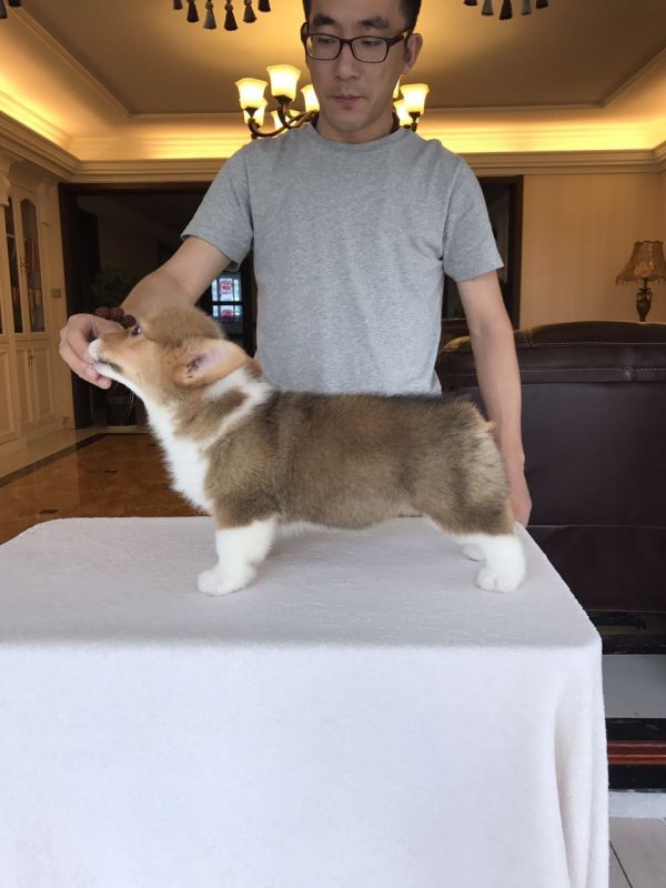 image.jpeg