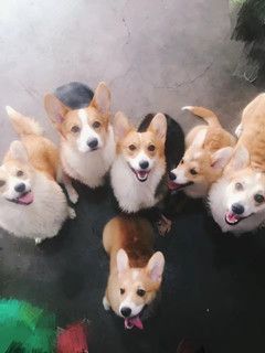 psb_副本.jpg