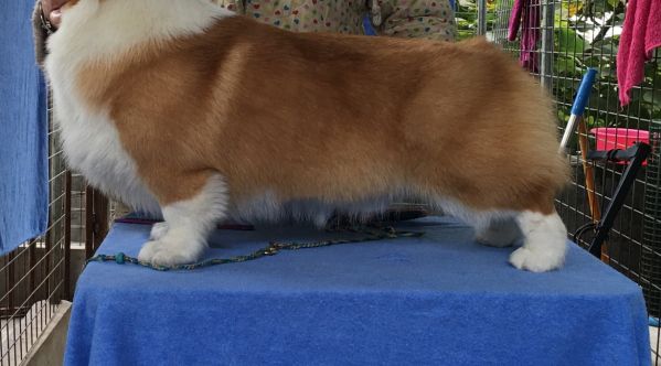 IMG_5113.JPG