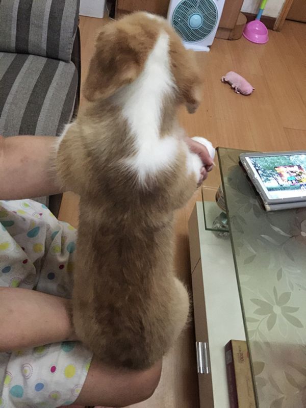 518825931_副本.jpg