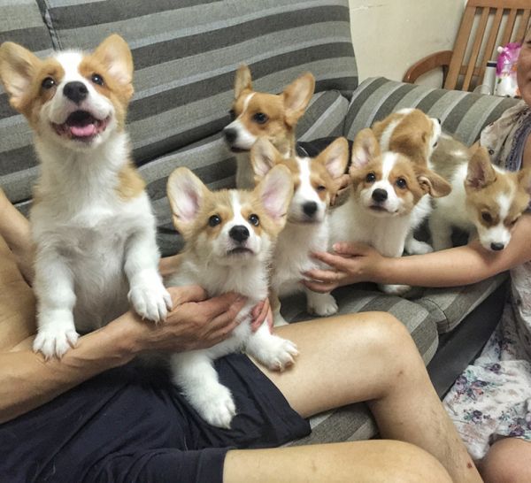 这张是小五只的合照