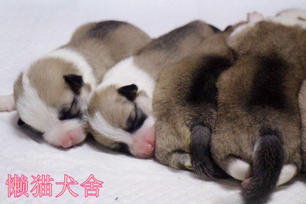 微信图片_20170713141523.jpg