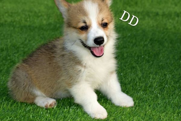 image.jpeg