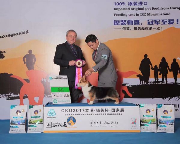 白起9.jpg