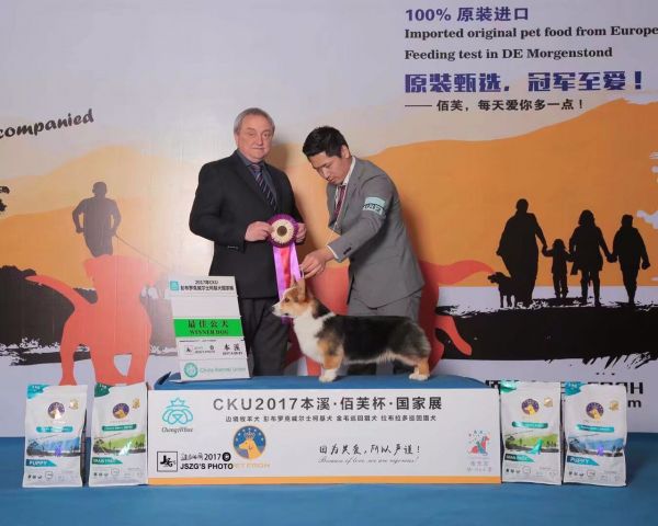白起10.jpg