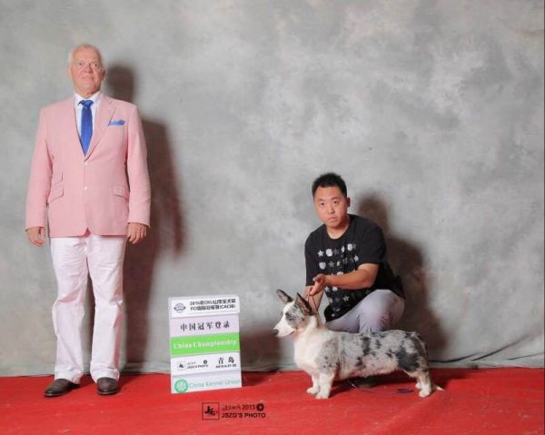 QQ图片20170717152936.jpg