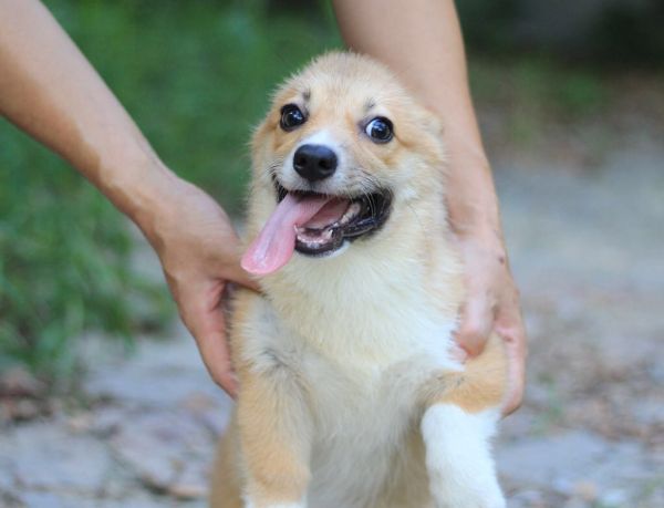 微信图片_20170718115935.jpg