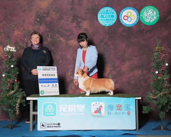 F0900EE7C3137192BF65CDD2817D1760.png