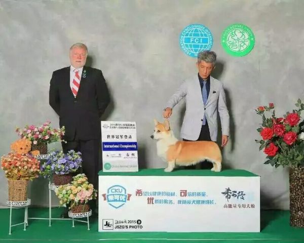 BBB467AD21E168F8C60B51C8A54FB245.png