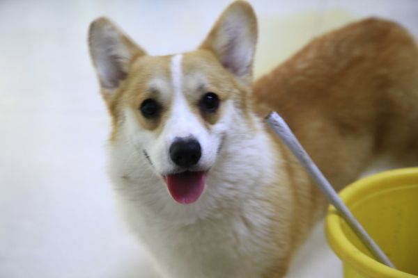 2BCEEE514D540C8E8D7483077C2156C8.png
