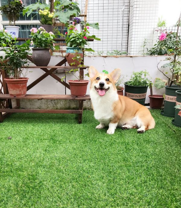 QQ图片20170719102123.jpg