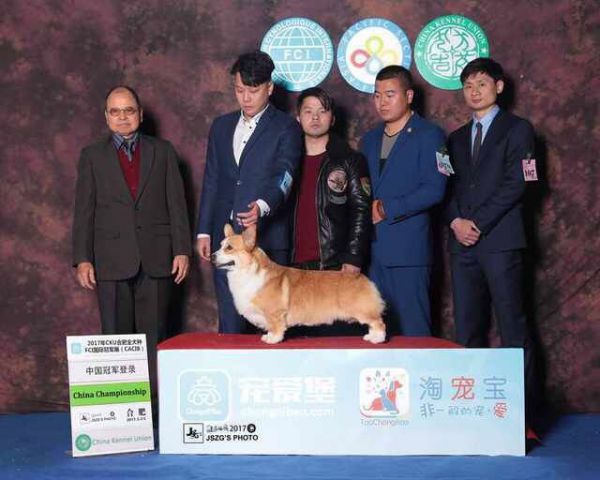 QQ图片20170719104806.jpg