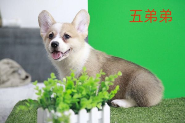 QQ图片20170719105043.jpg