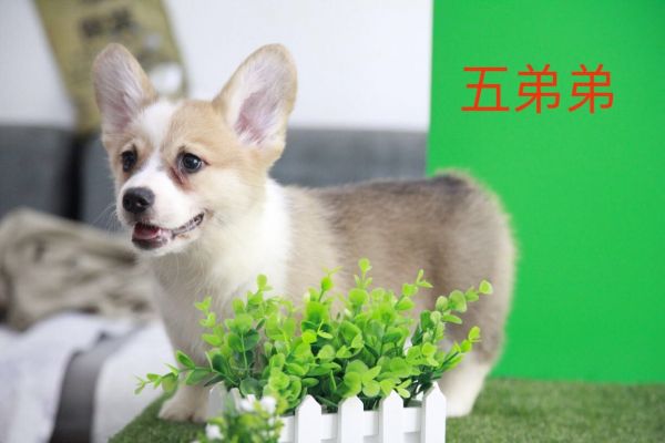 QQ图片20170719105053.jpg