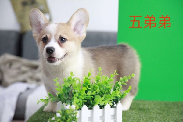 QQ图片20170719105056.jpg