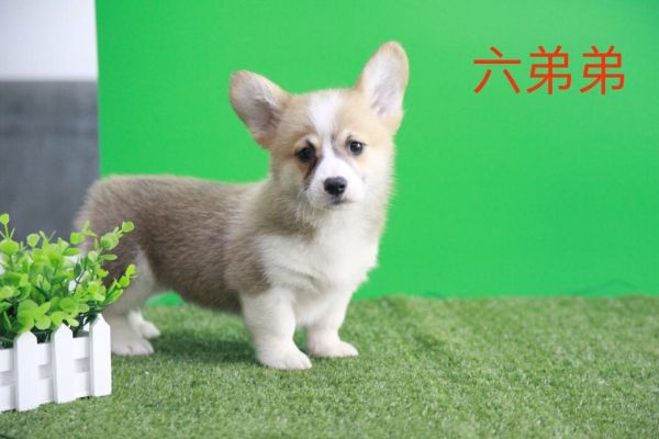 QQ图片20170719105100.jpg