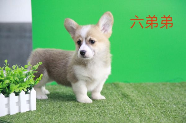 QQ图片20170719105103.jpg