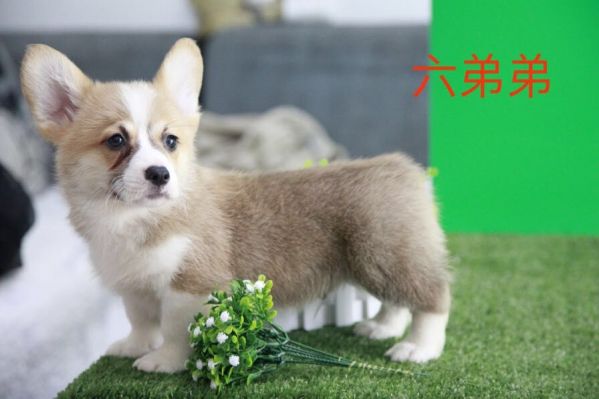QQ图片20170719105114.jpg