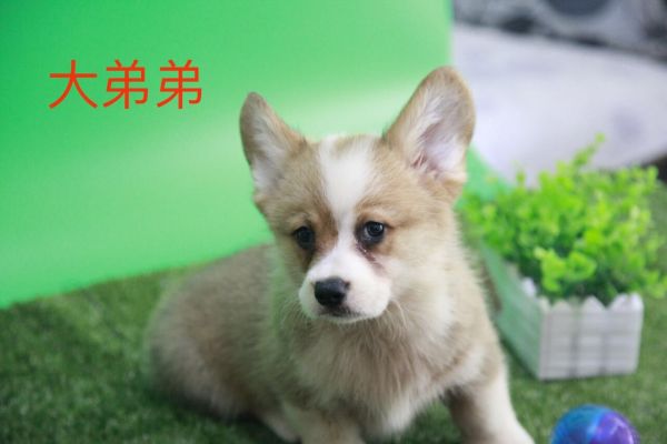 QQ图片20170719105008.jpg