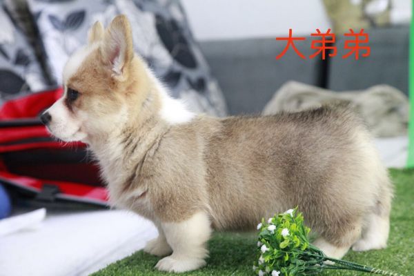 QQ图片20170719105017.jpg