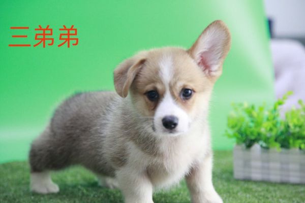 QQ图片20170719105031.jpg