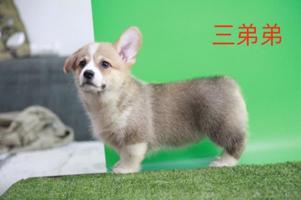 QQ图片20170719105039.jpg