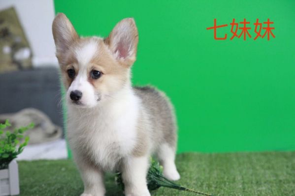 QQ图片20170719105121.jpg