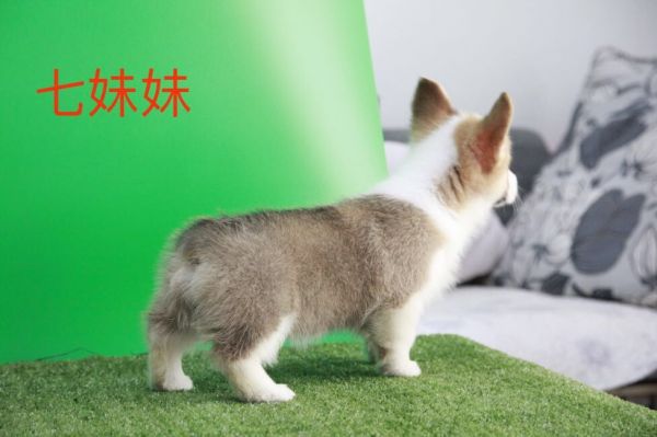 QQ图片20170719105125.jpg