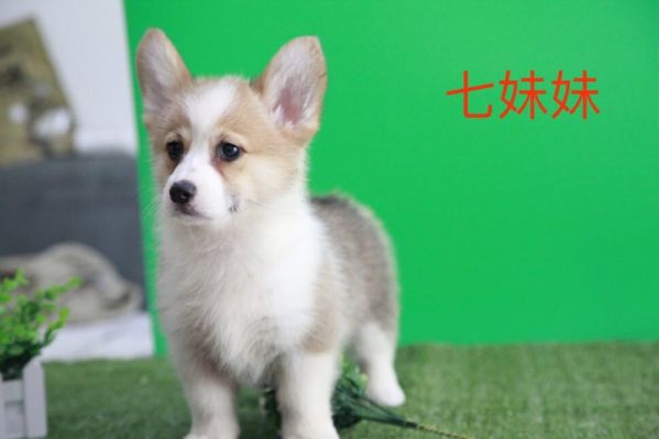QQ图片20170719105139.jpg
