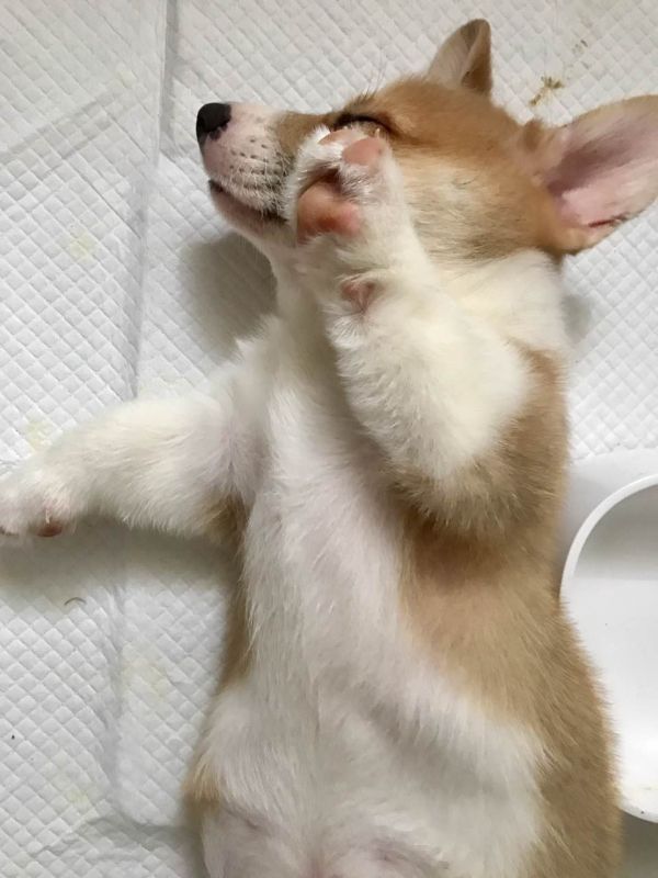 没化妆，别拍我