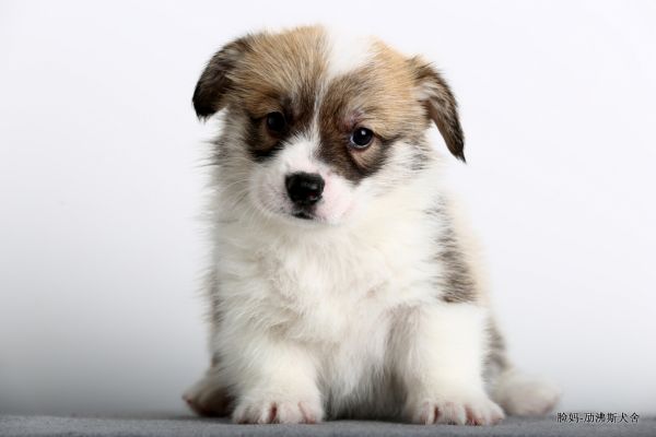 IMG_2489.JPG