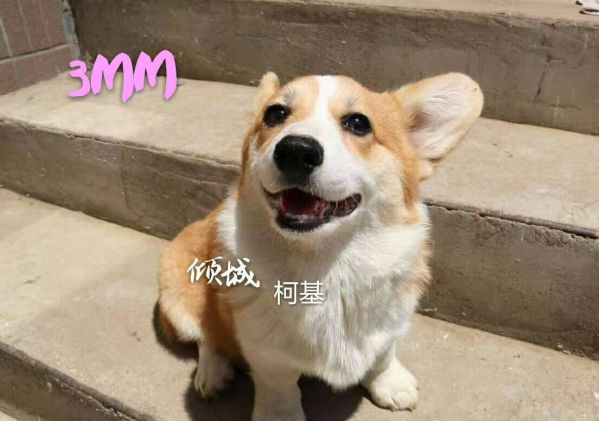 微信图片_20170721102736.jpg