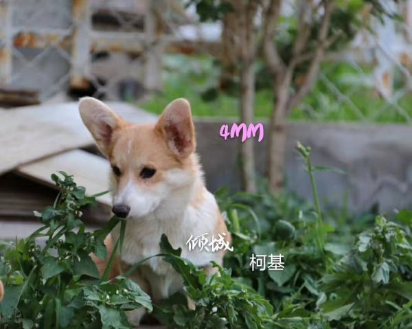 微信图片_20170721102741.jpg