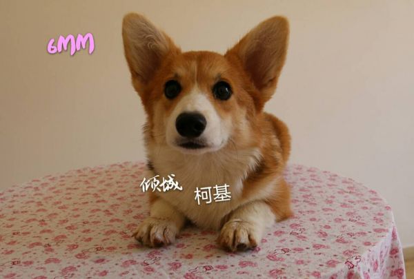 微信图片_20170721102745.jpg