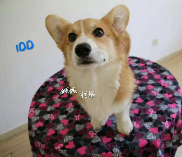 微信图片_20170721102708.jpg