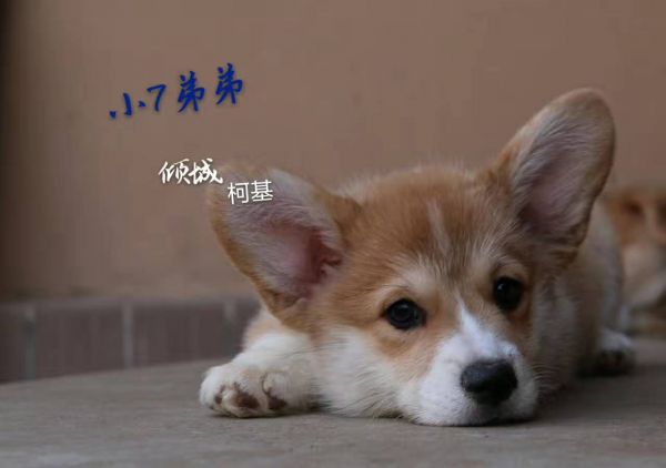 微信图片_20170721104302.jpg