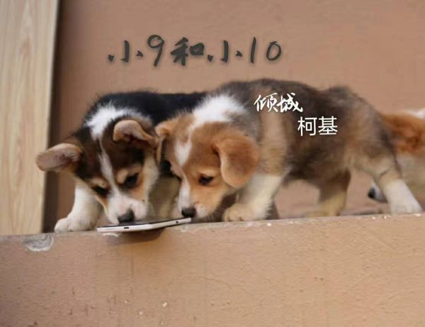 微信图片_20170721104305.jpg