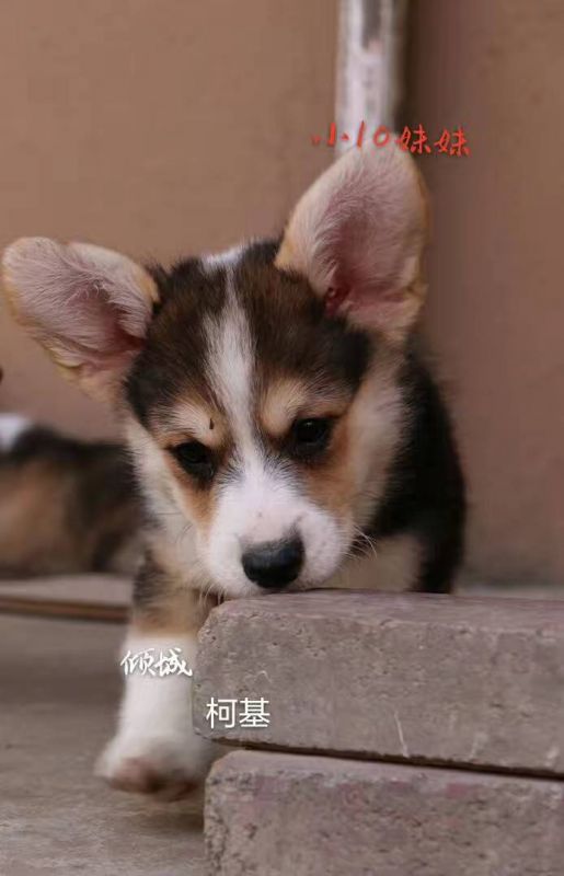 微信图片_20170721104253.jpg