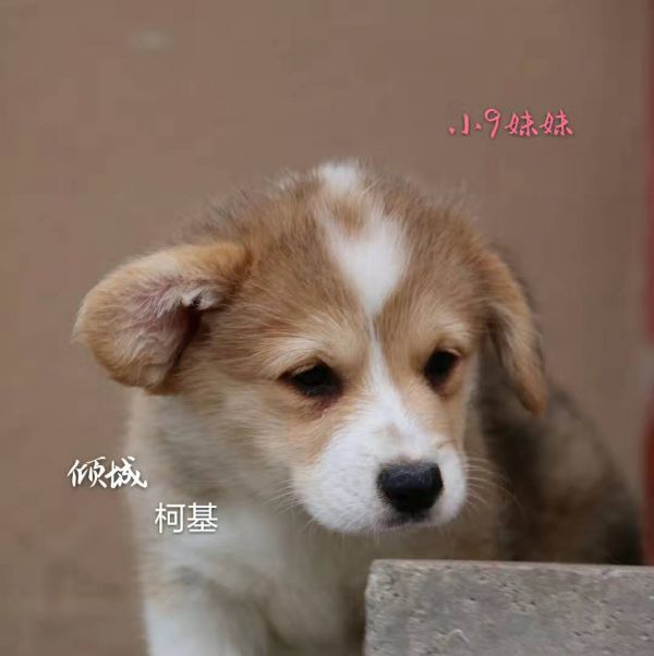 微信图片_20170721104257.jpg