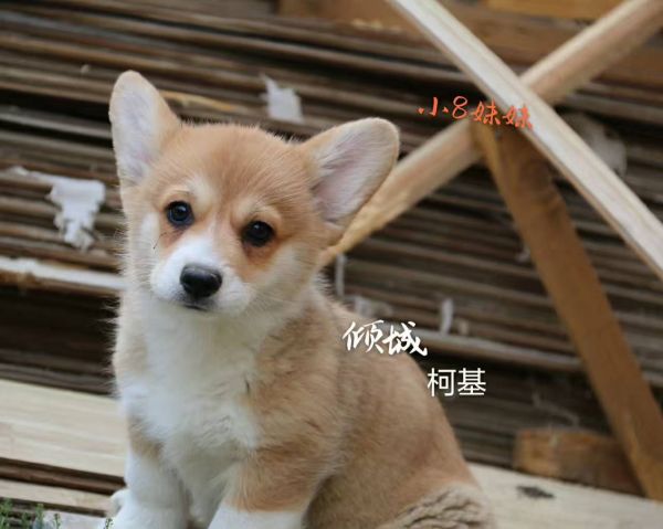 微信图片_20170721104300.jpg