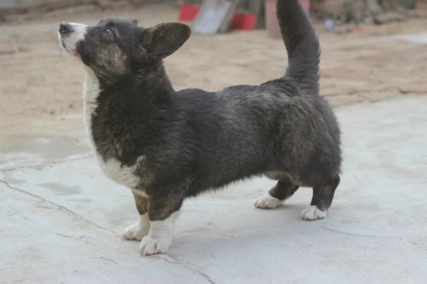 psb (3).jpg